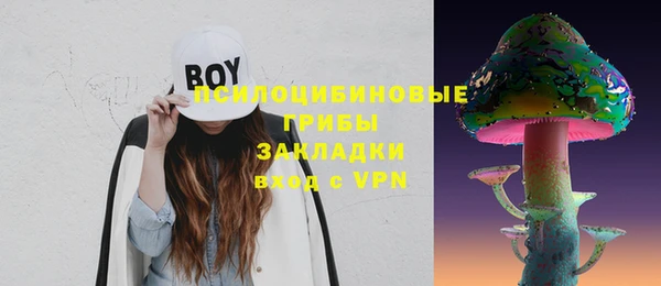 MDMA Богданович