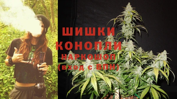 ГАЛЛЮЦИНОГЕННЫЕ ГРИБЫ Богородск