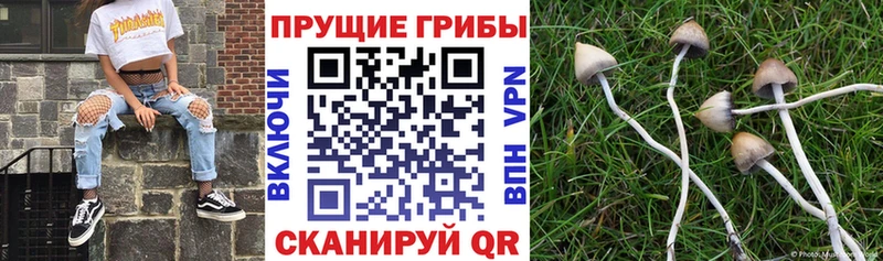 Галлюциногенные грибы ЛСД  Кондопога 